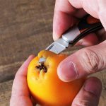 Sports gear for Keychain Knife Portable Wood Handle Folding Knives Sale - Image 6