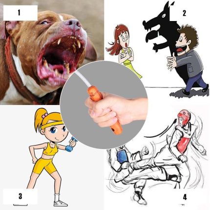 Buy Authentic Tactical Self Defense Whip Hot on Sale